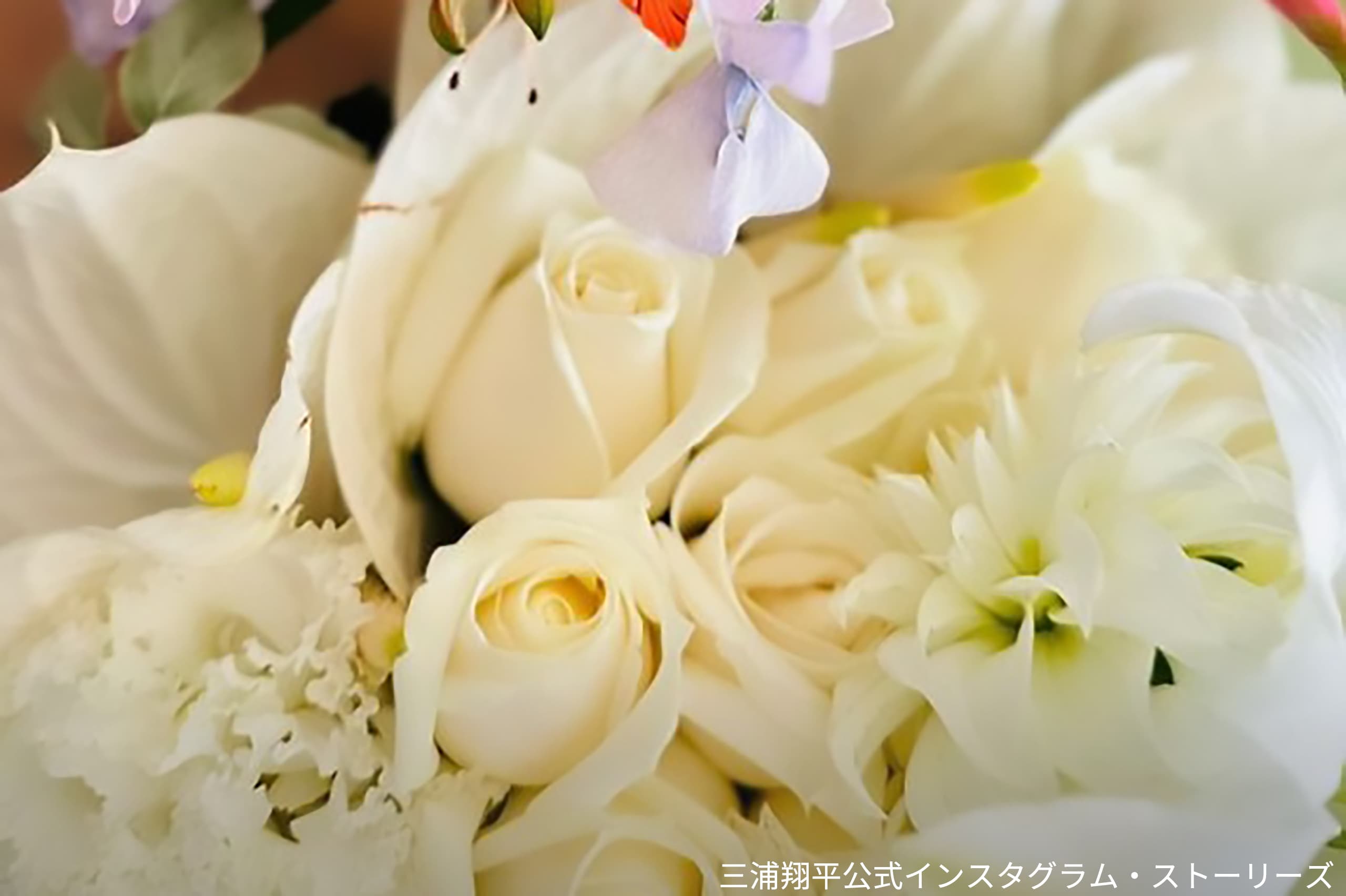 三浦翔平 妻 桐谷美玲の誕生日を祝福 添えられた白い薔薇の 花言葉 は Sirabee