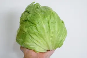 レタスはあそこを「壊して」保存すると…　「びっくりするくらい長持ちする」の声