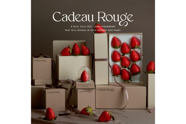 Cadeau Rouge