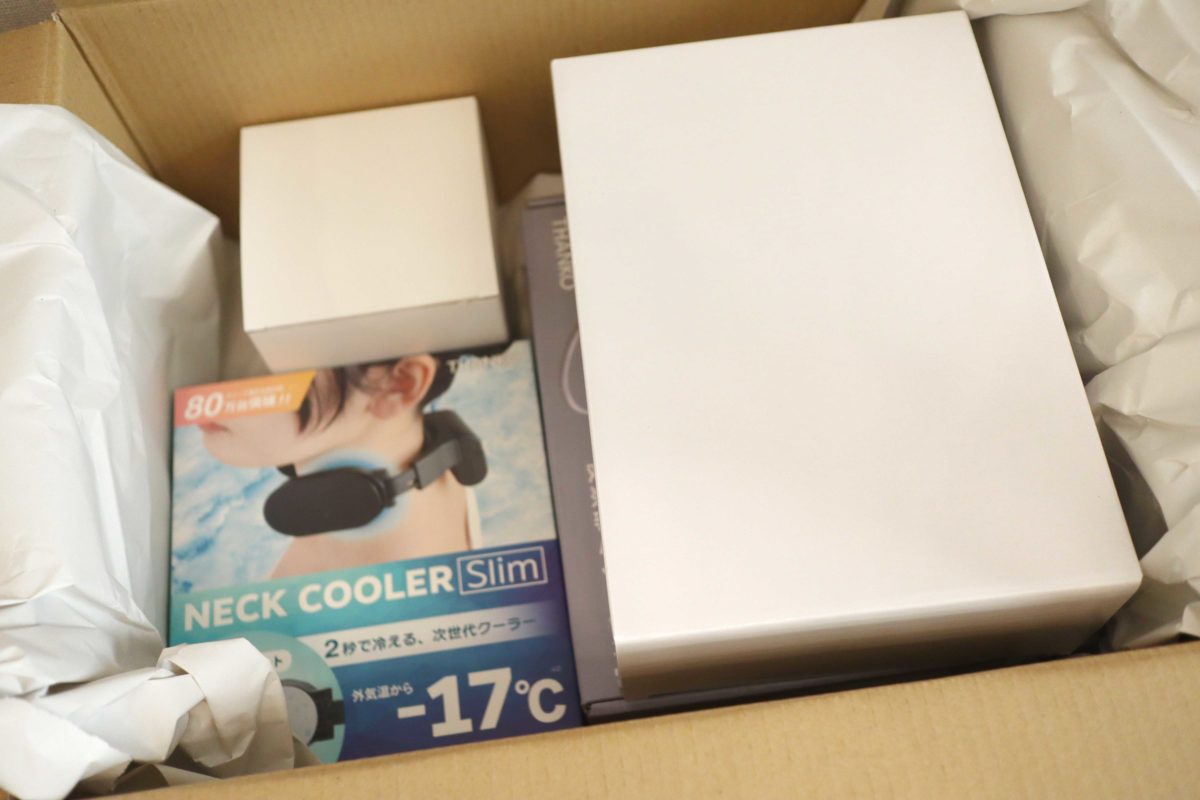 sirabee20221231sanko23