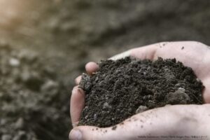 人間を肥料にする「堆肥葬」が米国で合法化進む　火葬は環境に悪影響か