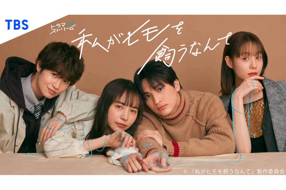 sirabee20230313himo1