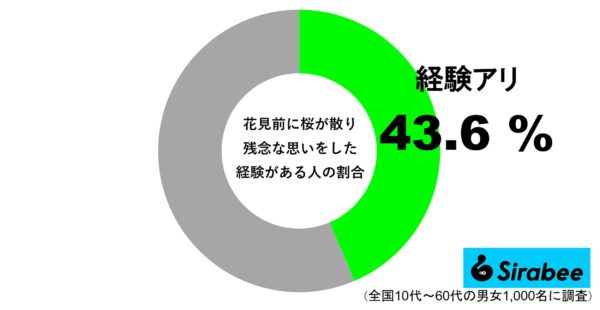 花見前に葉桜