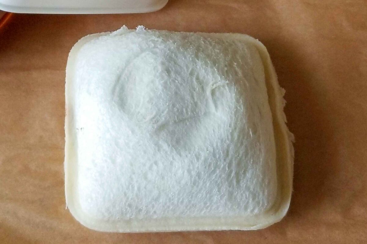 sirabee20230404panda15