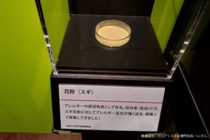 大阪の博物館で発見した猛毒、その4文字に目を疑う…　「危険すぎだろ」とネット民驚愕