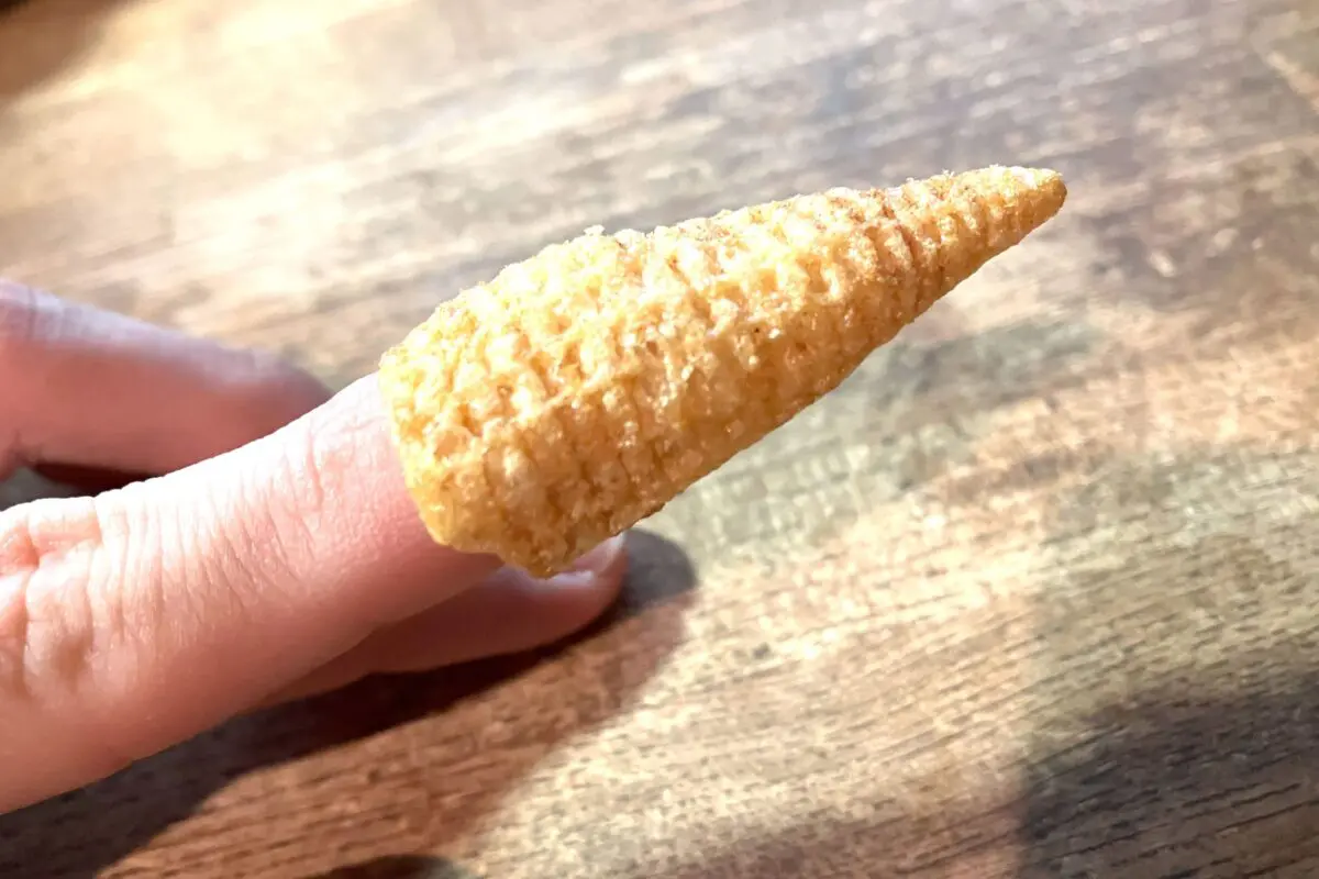 sirabee20230426tongaricorn4