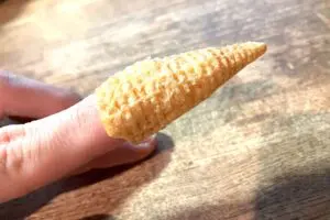 sirabee20230426tongaricorn4