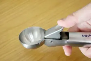 sirabee20230427_31ice9