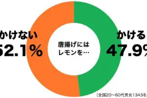 sirabee20170818karaage2