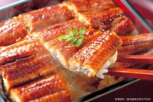 sirabee20230501shibushi4