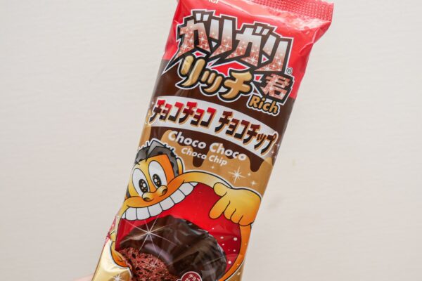 ガリガリ君リッチ チョコチョコチョコチップ