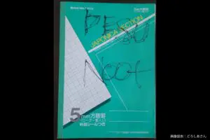 sirabee20230511desunoot2