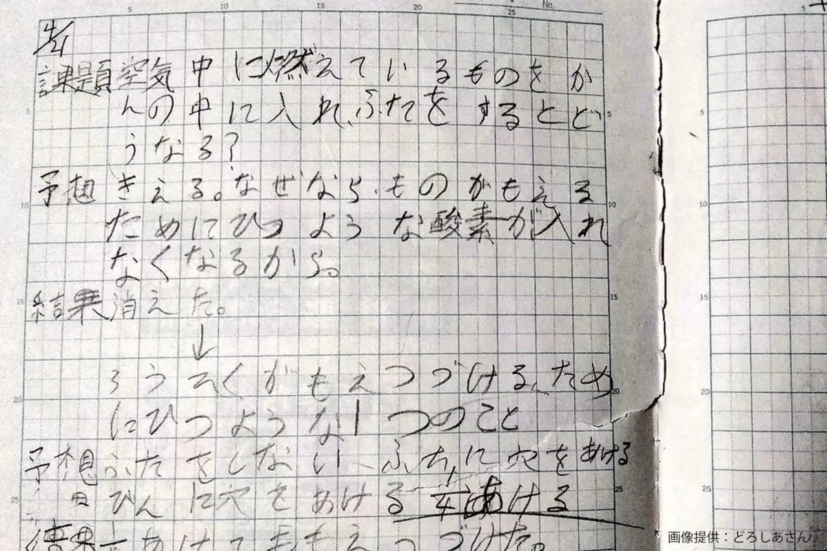 sirabee20230511desunoot3