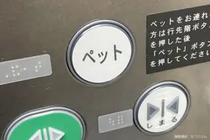 エレベーターで遭遇したボタン、その3文字に目を疑う　「何が起こるんだ…」と驚きの声