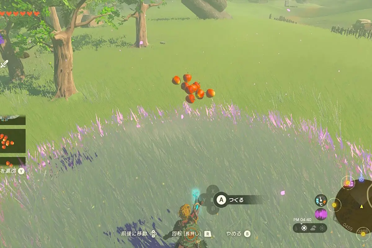 sirabee20230517zelda10