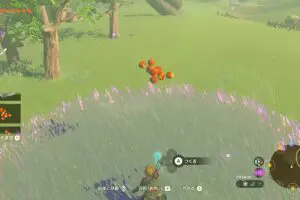 sirabee20230517zelda10