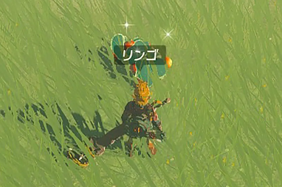 sirabee20230517zelda11