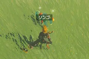 sirabee20230517zelda11