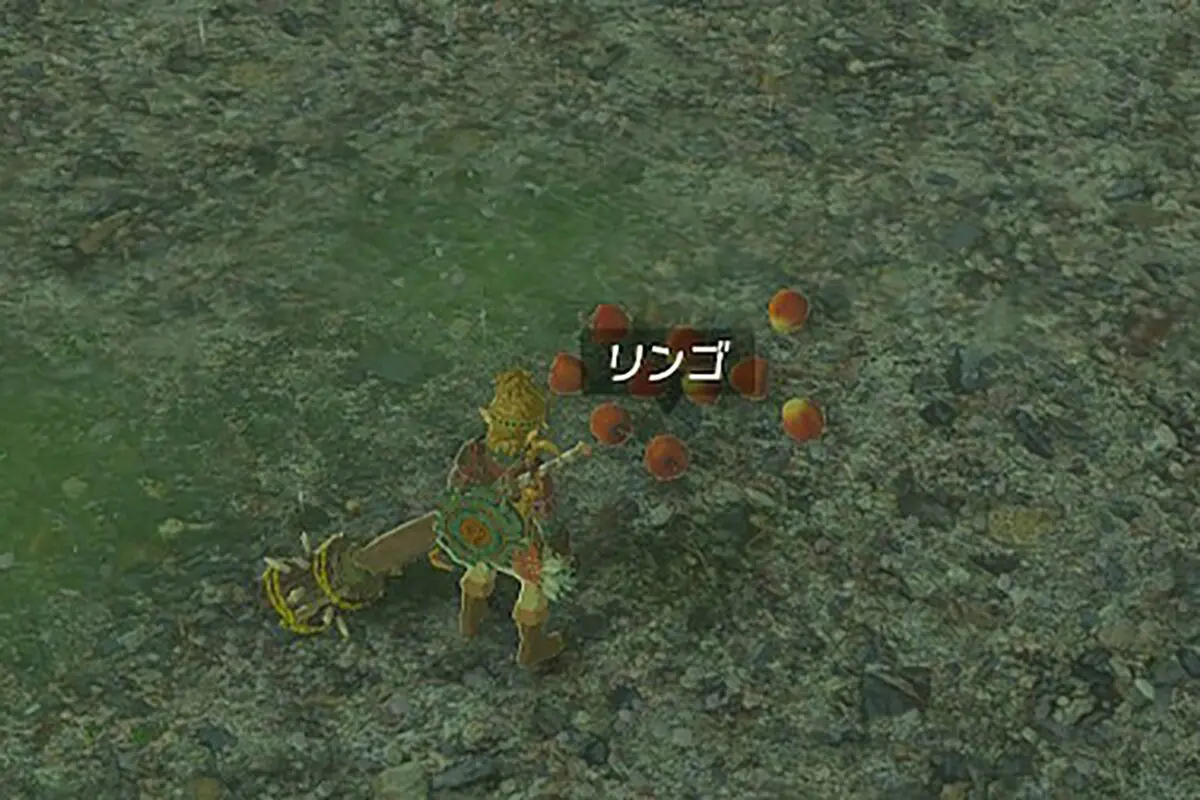 sirabee20230517zelda8