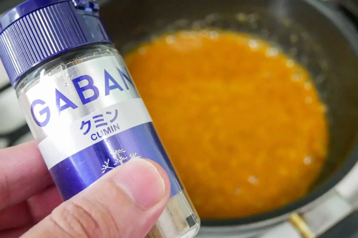 sirabee20230523hamaiecurry4