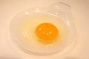 sirabee20230525tamago7