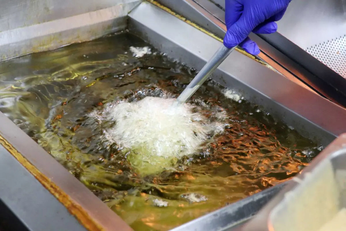 sirabee20230531paku15