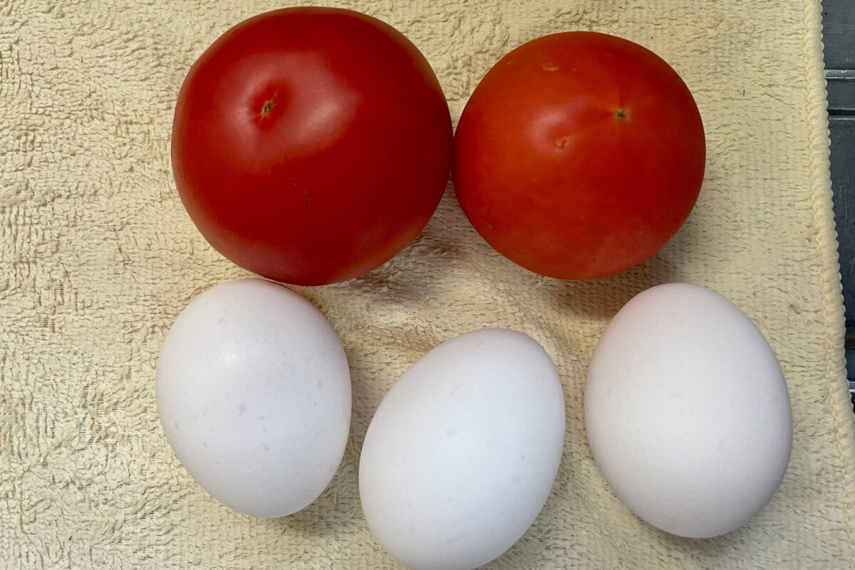 トマトのふんわり卵炒め