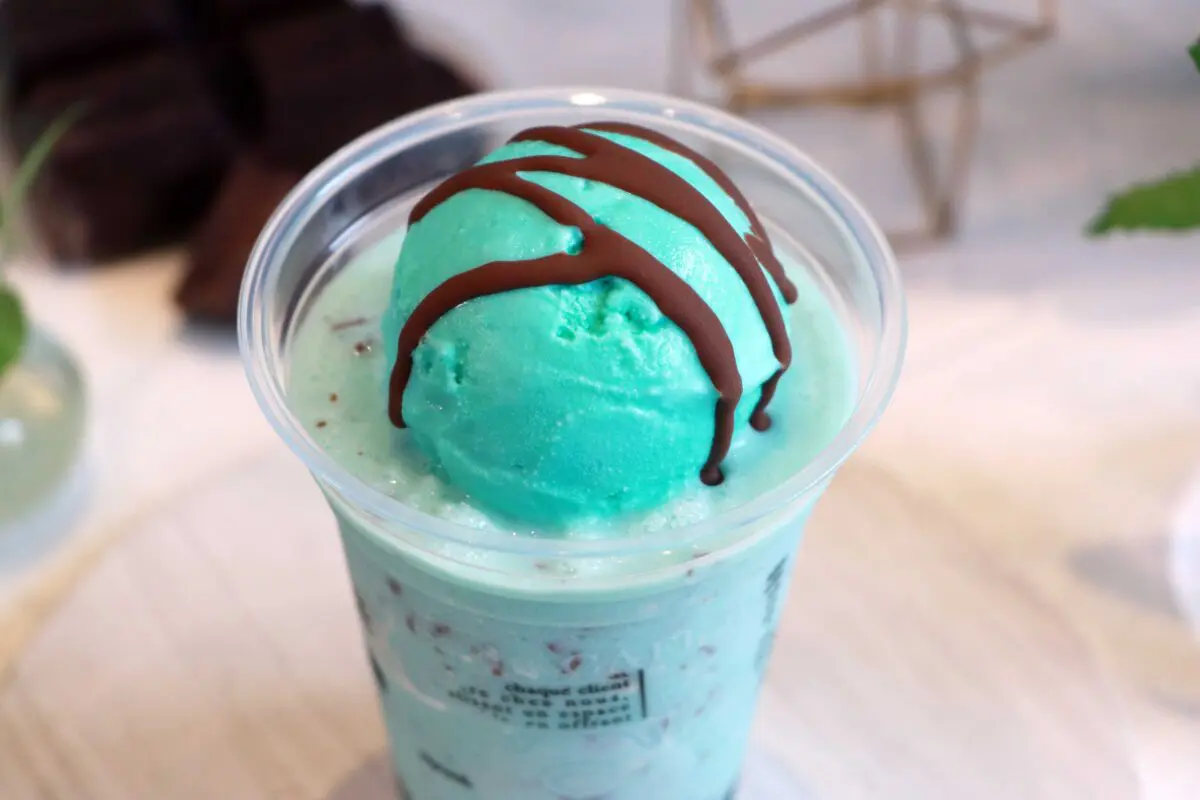 sirabee20230605chocomint1