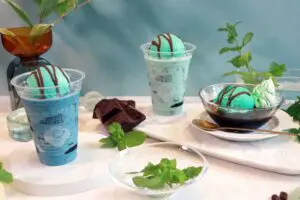 sirabee20230605chocomint7