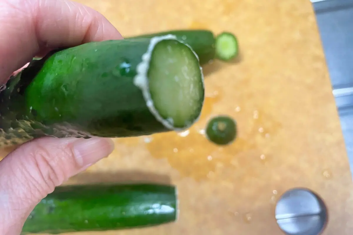 sirabee20230605cucumber3