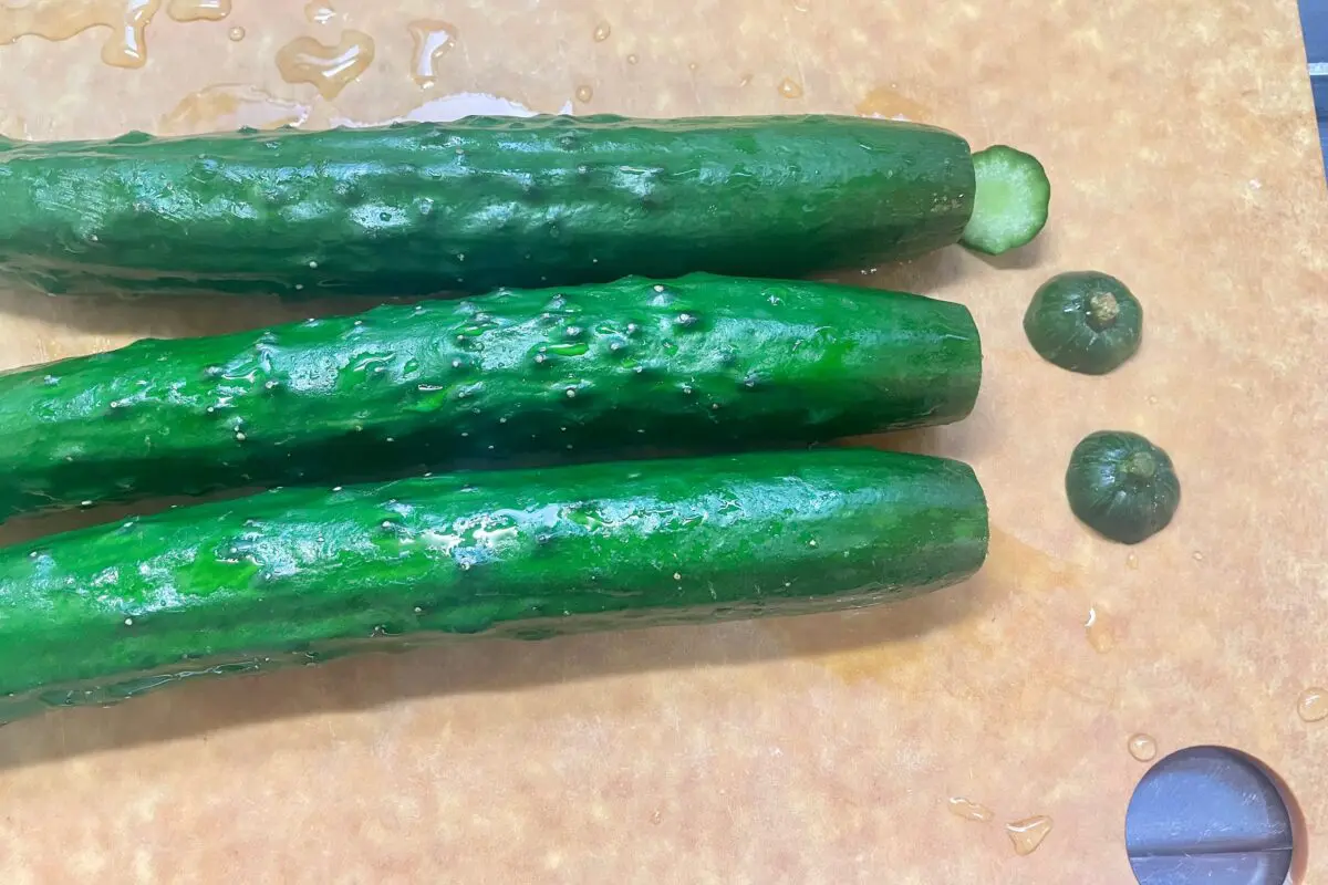 sirabee20230605cucumber6