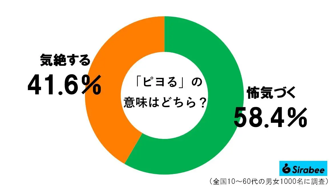 sirabee20230607piyoru3