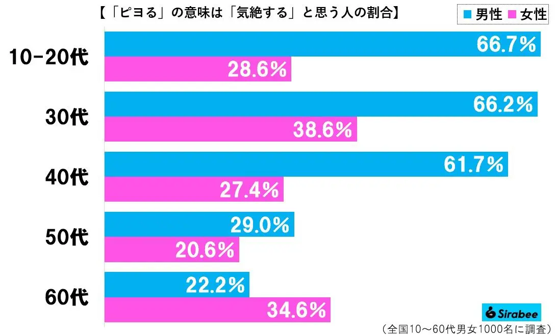 sirabee20230607piyoru4