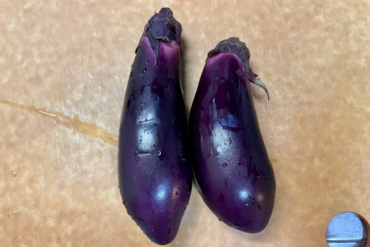 sirabee20230608eggplant13