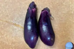 sirabee20230608eggplant13