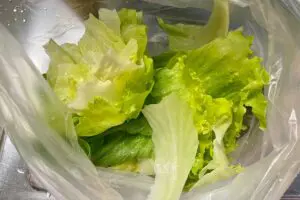 sirabee20230613lettuce1