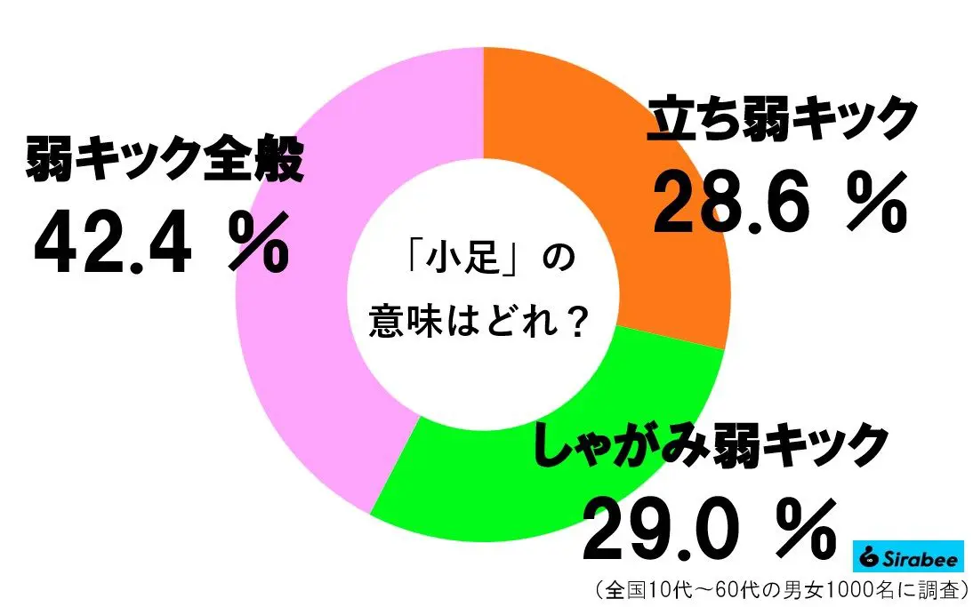 sirabee20230614koashi6