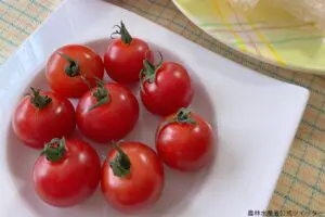 夏のお弁当に最適「溶ける心配がない」“あの食材”とは…　農水省おすすめトマトとの組み合わせ