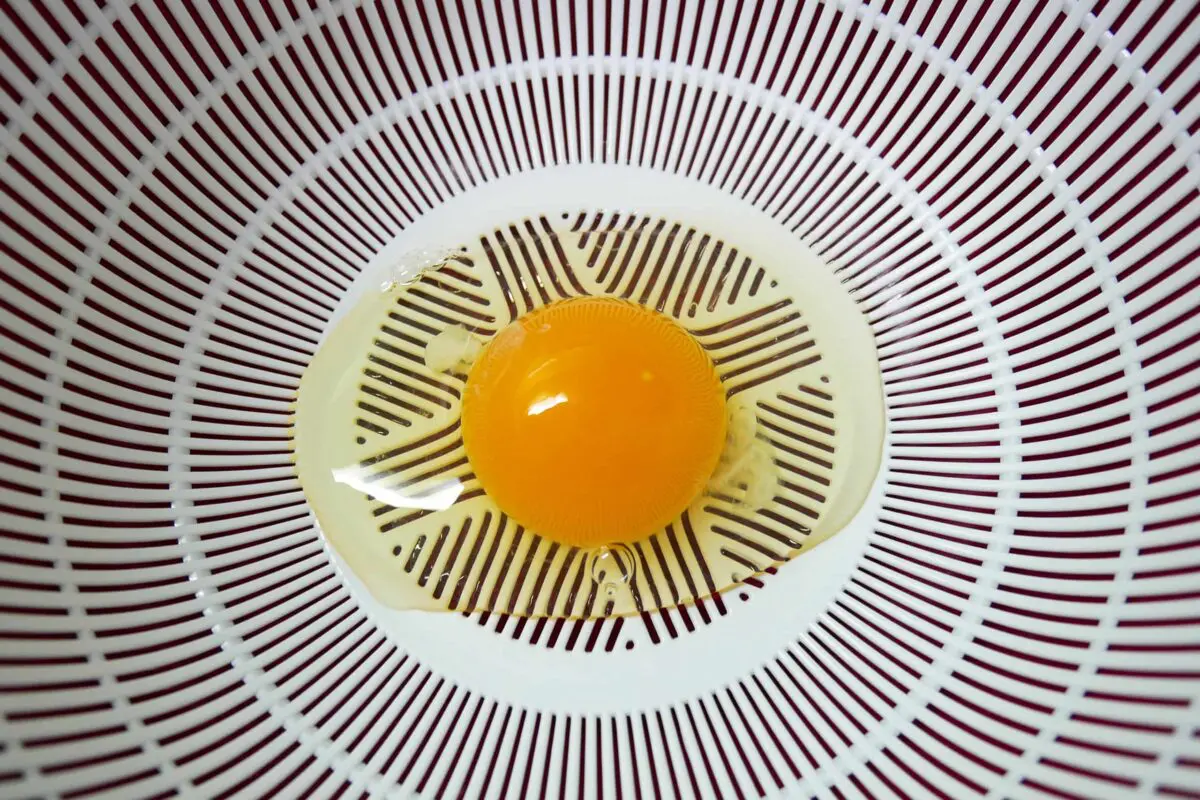 sirabee20230619friedegg2