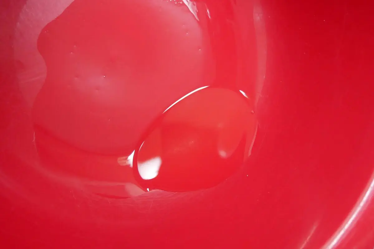 sirabee20230619friedegg3