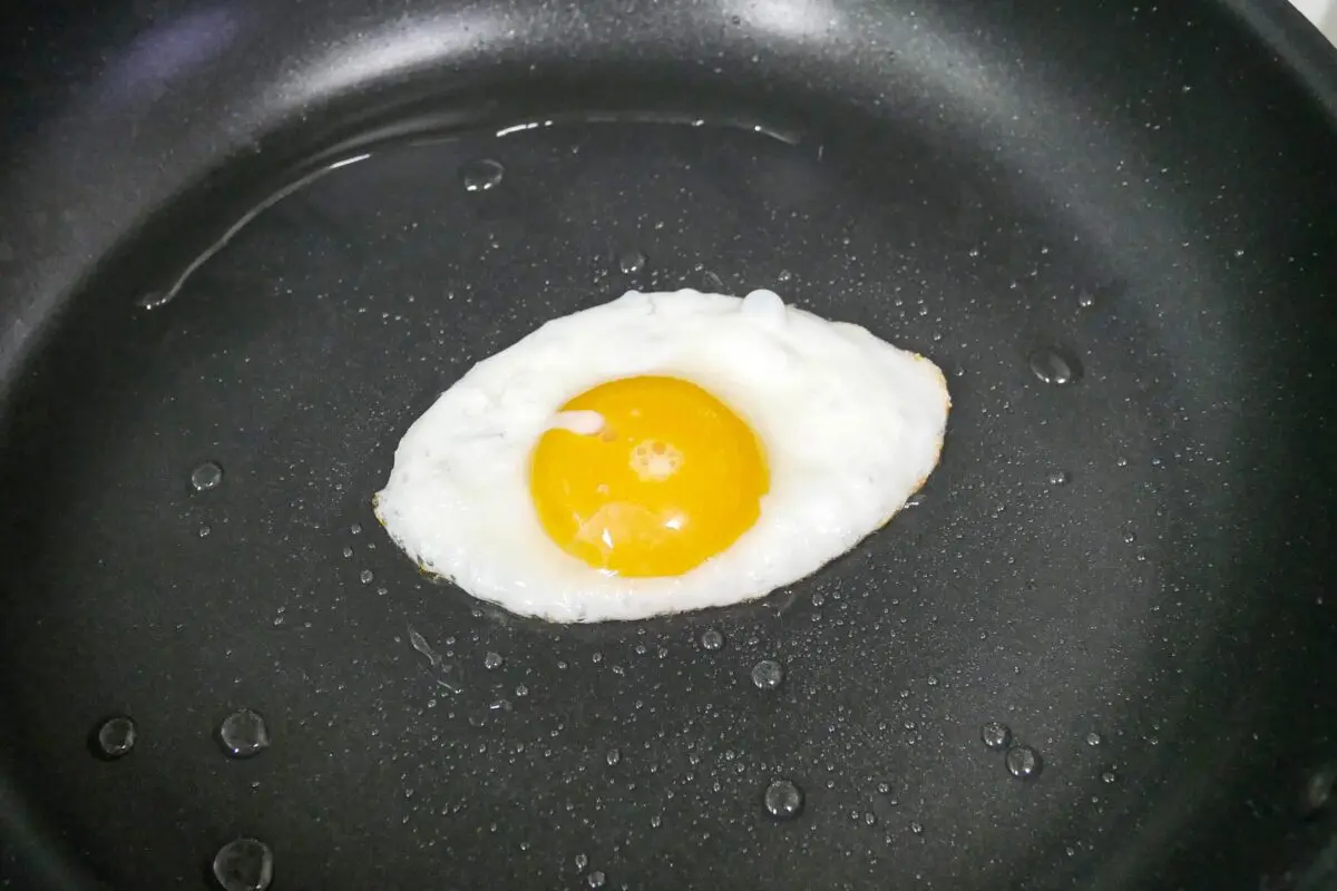 sirabee20230619friedegg4