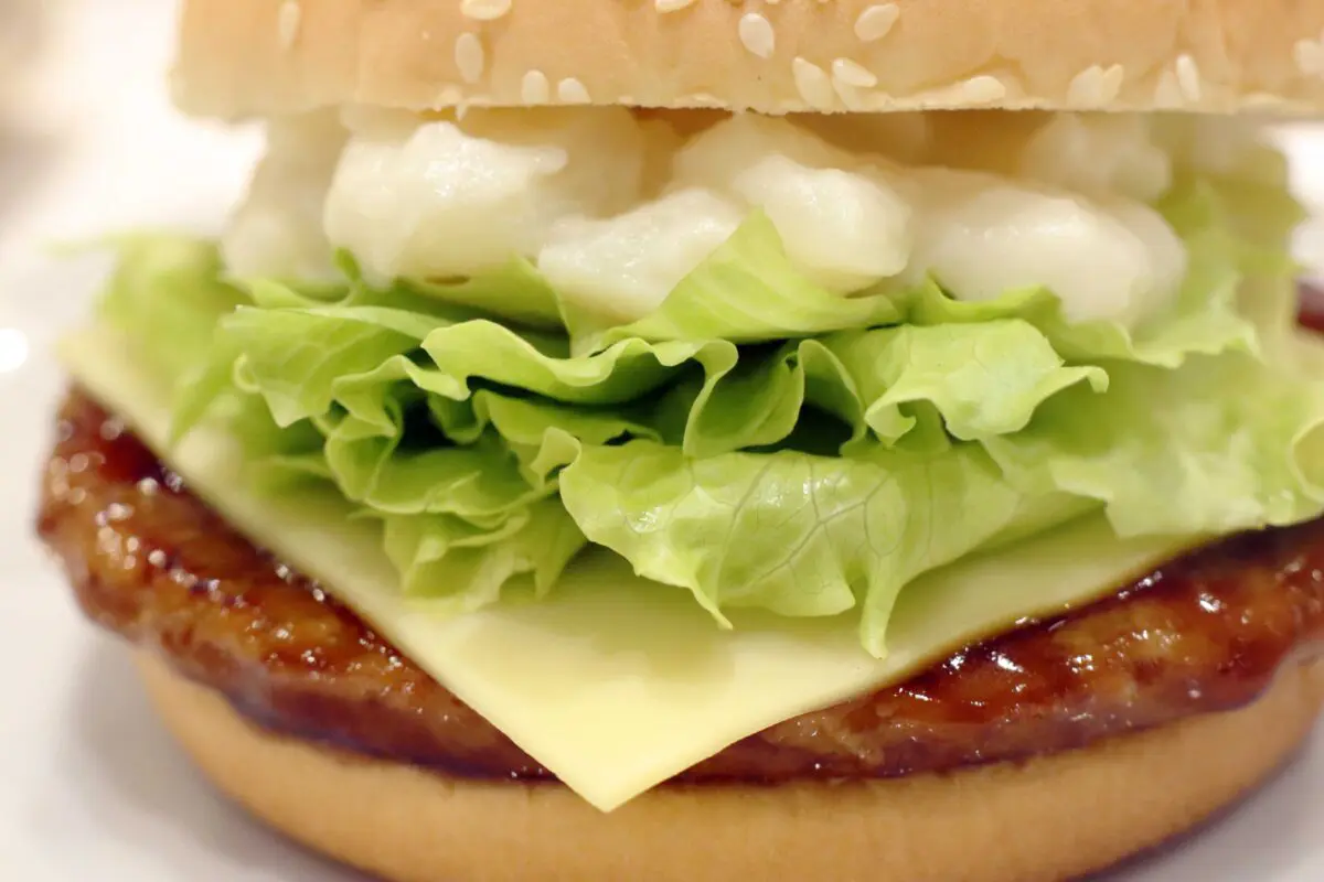 sirabee20230621teriyaki10