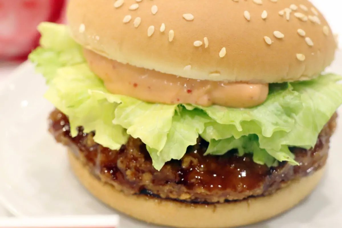 sirabee20230621teriyaki12