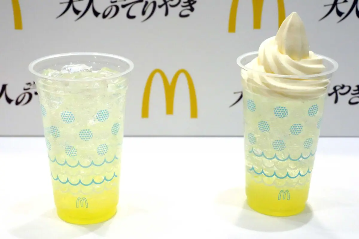 sirabee20230621teriyaki15