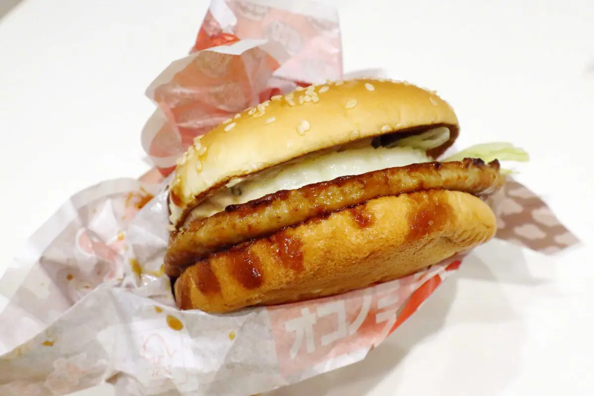 sirabee20230621teriyaki17