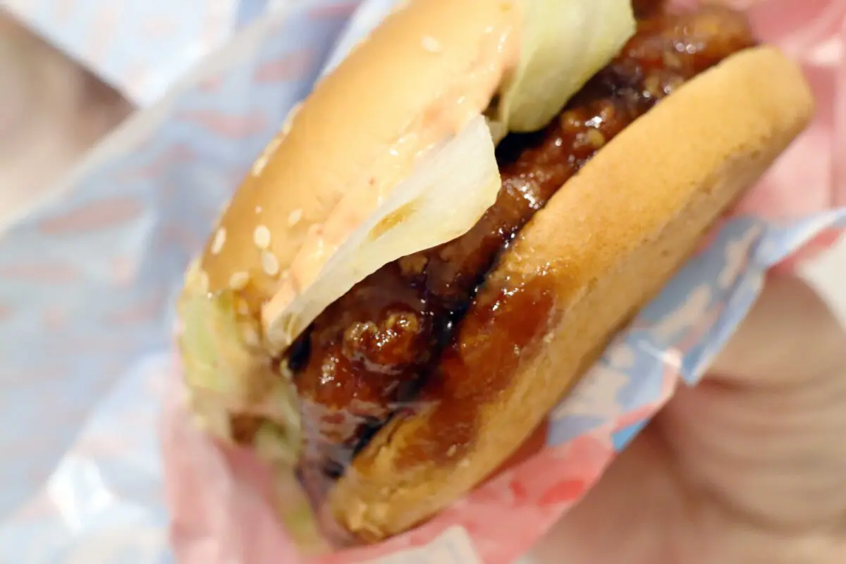 sirabee20230621teriyaki18