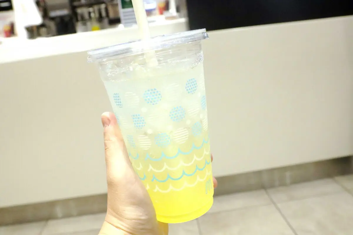 sirabee20230621teriyaki4