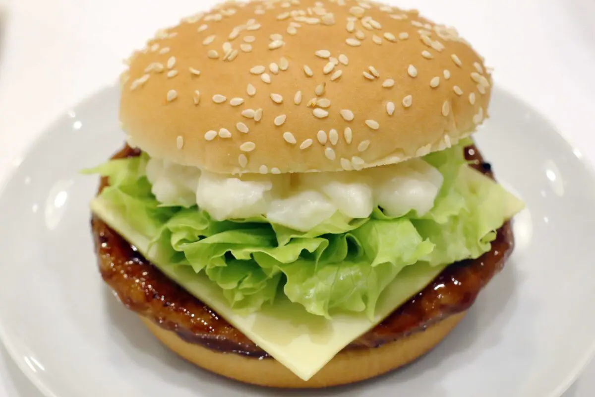 sirabee20230621teriyaki7