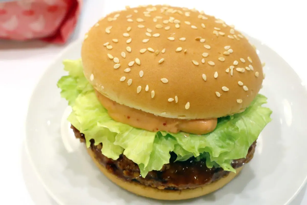 sirabee20230621teriyaki8