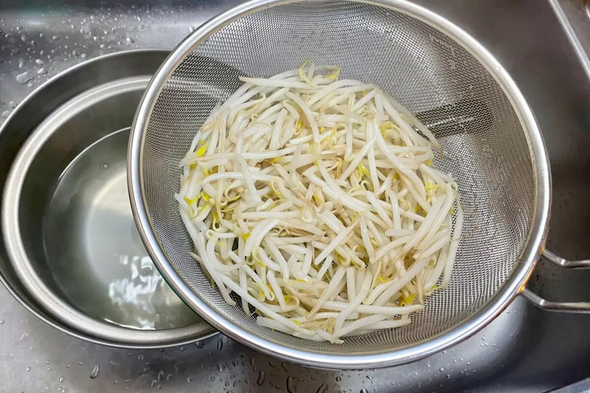 sirabee20230622nabe1